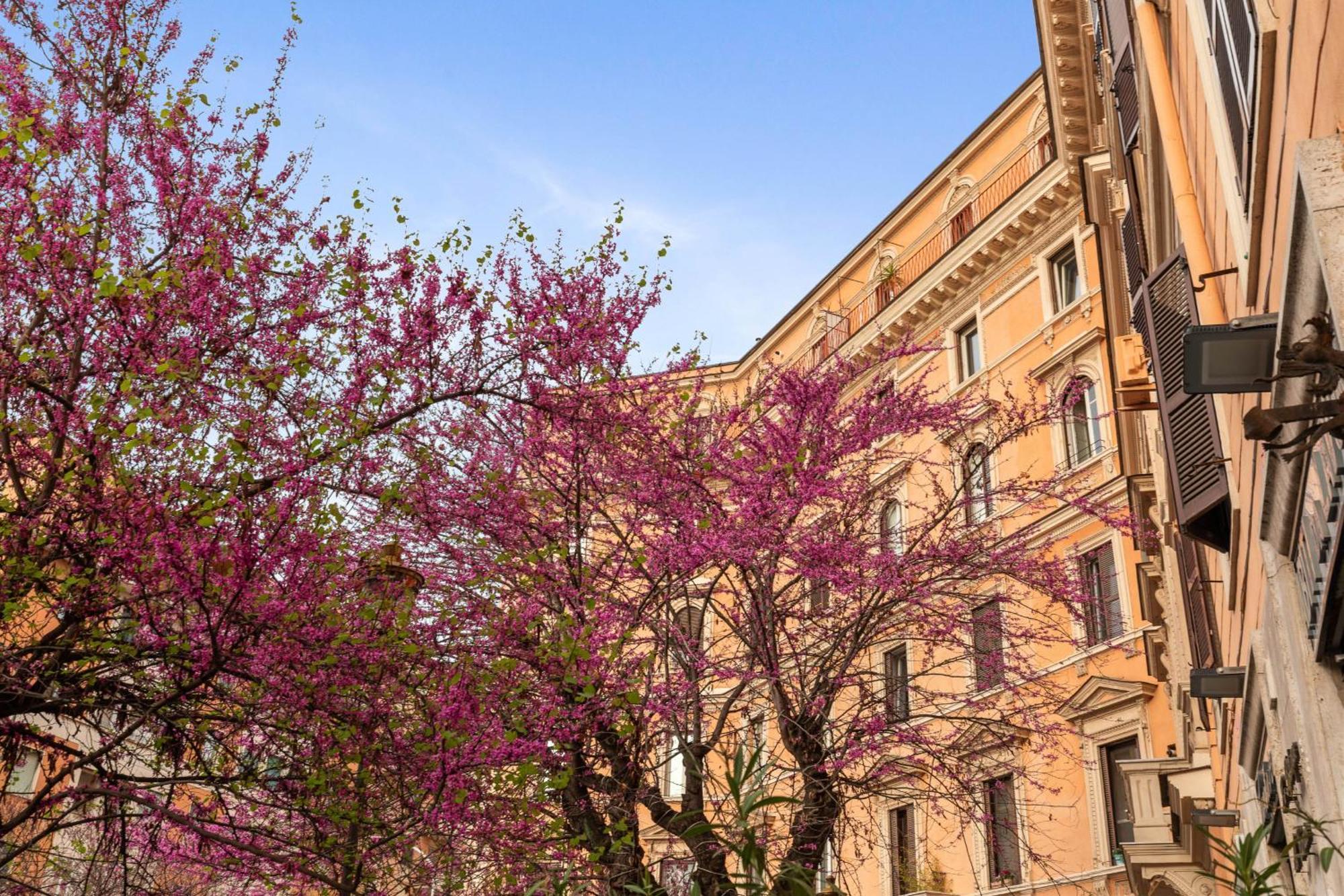 Appartement Termini Station Lightsome 3br Rome